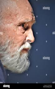 Camp harding hi-res stock photography and images