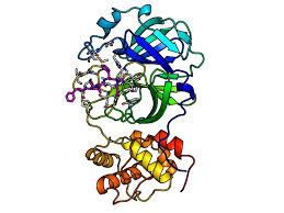Explore literature, identify clinical trials, and compounds used in them. Researchers Discover Sars Cov 2 Inhibitors University Of Bonn