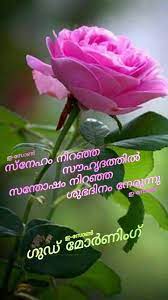 Take a look at our good morning message for her and him and choose the perfect one for your partner. Pin By Eron On Good Morning Malayalam Good Morning Flowers Good Morning Wishes Good Morning Roses