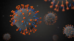 Symptoms from infection vary from none to fever, cough, headache, shortness of breath, and confusion. First Nipah Virus International Conference Focuses Global Attention On Nipah Solutions And Threats Homeland Preparedness News
