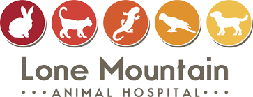 To eliminate the problem, you can talk to your vet or visit your local pet store. Lone Mountain Animal Hospital A Full Service Small Animal And Exotic Veterinary Hospital
