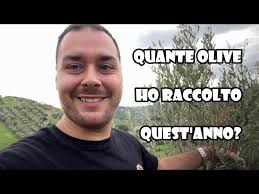 Tolgo gli Ulivi🌳Danneggiati dal Fuoco 🔥