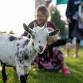 Wild Wonderful Weekend – Goat Yoga