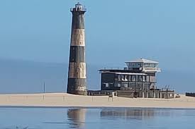 Image result for Warneckea walikalensis