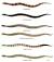 Worm Snake