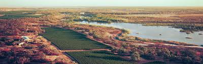 Riverland dubai is spread over four buzzing districts within dubai parks & resorts , each with a different theme: Riverland Wine Australia