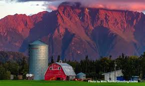 Posts by Casey Ressler