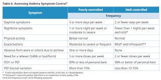 Image result for Mild Persistent Asthma