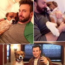 She has a dog named bow bow. Chris Evans And His Dog Dodger See Their Pawsome Friendship