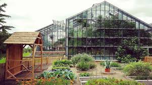 Kiel Insights Botanischer Garten Botanischer Garten Garten Exotische Pflanzen