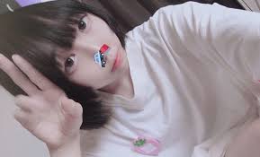 ボード 画像 のピン