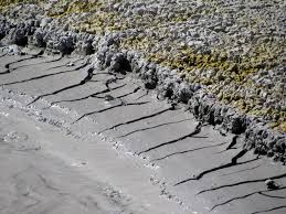 To reach it, drive 5.9 miles north of fishing bridge junction, or 9.7 miles south of canyon junction on the canyon to fishing bridge section of the grand loop road. Mud Pool Mud Cracks Mud Volcano Yellowstone National Park Wy Usa Mapio Net