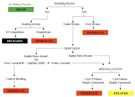 Image result for START Triage