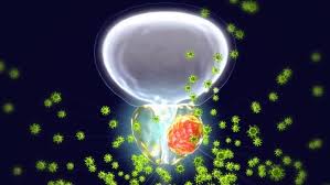 This test may be done to see if the cancer has spread to your bones. Metastasis In Prostate Cancer Can Now Be Predicted