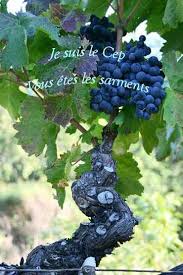 Jesus Christ Fils De Dieu Livre Comme Un Agneau Recherche Google