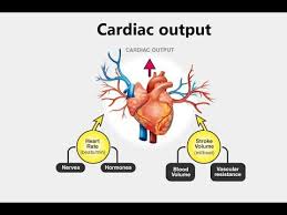 Image result for Cardiac Output