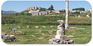 Image result for Thesium thamnus