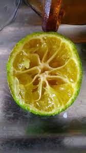 pin by natural soff on cocina food fruit lime