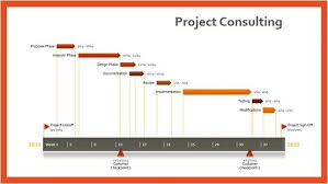 Project Consulting Timeline Template Made With Free