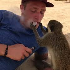 Monkey Tries To Catch Vape Smoke