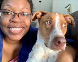 Lost black and white husky in Pitt County