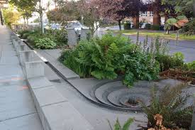 Channel On The Street Seattle Raingarden Rain Garden Garden Design Plans Landscape Architecture