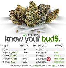 Stoners Guide To Saving Green Marijuana Quick Tips To