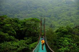 Monteverdes Cloud Forest