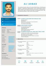 infographic resume and presentations