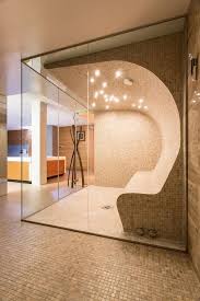 Steam Rooms For Home 10 Amazing Ideas And Designs Modern Bathroom Design Steam Room Home Gym Design