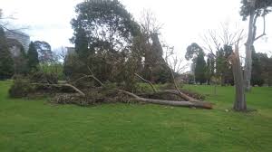 Check spelling or type a new query. Storm Damage In Melbourne Album On Imgur