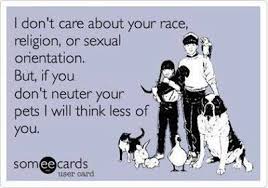 Maybe you would like to learn more about one of these? Pin On Aminals