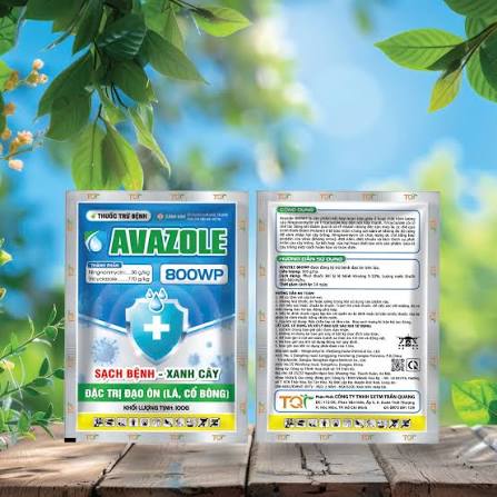 Avazole 800WP