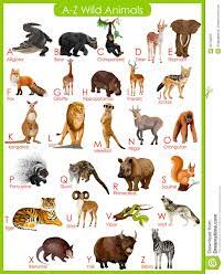 The following tags are used to highlight each species' conservation status as assessed by the. 21 Animal Habitats Ideas Animal Habitats Habitats Animals