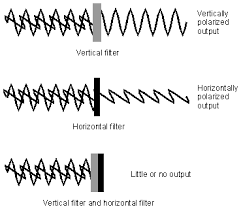 What Is Polarization Wave Polarization Definition From Whatis Com