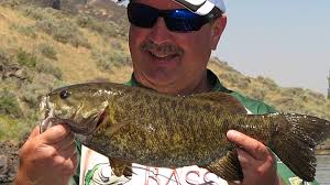 Seasonal Lure Selection