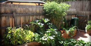 Australia Balc Balcony Container Vegetable Gardening Australia Gardens Australia Balc Balcony Cont In 2020 Vegetable Garden Design Herb Garden Vegetable Garden