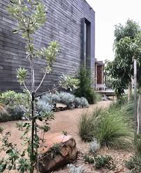 Pin By Tina Henriksen On Australian Native Gardens Australian Garden Australian Garden Design Modern Australian Garden