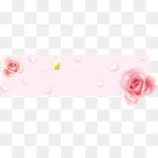 Delicada Coroa De Flores Fundo Png Imagem Png Download Flor De Clip Art Floral Delicado Bordas Decorativas Png Transparente Gratis Baixe esta imagem png com fundo. floral delicado bordas decorativas png