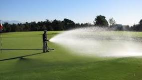 Image result for how the golf course green but edges burned