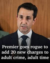 Premier David Crisafulli will override the Human Rights Act to add more  offences including kidnapping and stealing firearms to Adult Crime, Adult  Time laws. 🚔👮 See the list and have your say.