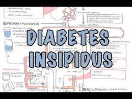 Armando Hasudungan Youtube Diabetes Insipidus Diabetes Investigations