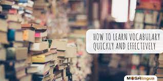 How To Learn Vocabulary Quickly And Effectively - Mosalingua