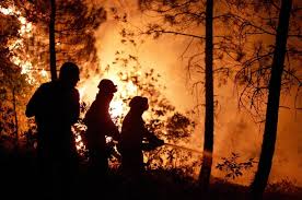 Bebé de ocho días de nacida muere calcinada en un incendio registrado al sur de guayaquil. Comienza El Juicio Por El Incendio De Guadalajara De 2005 Noticias De Nacional En Diario De Navarra