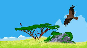  Kisah Burung Elang Yang Malang Burung Elang Burung Elang