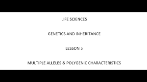 Multiple alleles — definition & examples. Life Sciences Mhs 5 Genetics