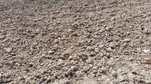 Image result for site:byggahus.se sådd