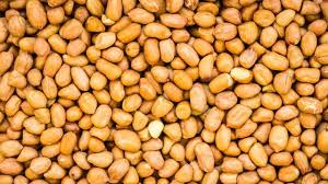 Faridah family 120 views1 months ago. 7 Cara Membuat Kacang Telur Super Renyah Praktis Dan Mudah Hot Liputan6 Com