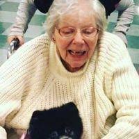 Beverly Meadows Obituary