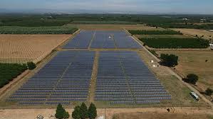 I refer people i trust and like to work i know they will do well. Project Development Trina Solar
